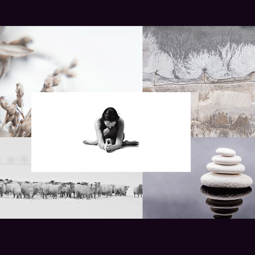 Inspiratiemiddag yin yoga en de winter
