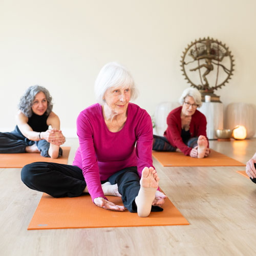 Ananda-Yoga-Hilversum-Silveryoga