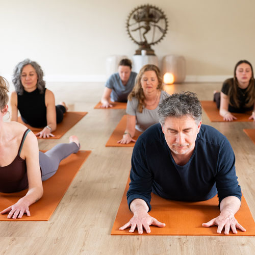 Ananda-Yoga-Hilversum-Soepele-rug-yoga