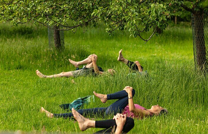 Ananda Yoga - Buitenyoga in de Wijngaard