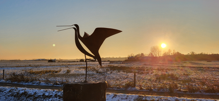 Ananda blog - Boer Ruud