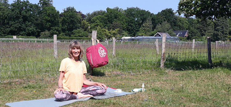 Ananda blog - Huisje, boompje, beestje