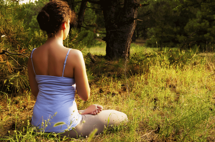 Ananda blog - PHPD