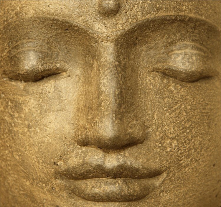 Ananda Yoga Blog - Zien of gezien worden
