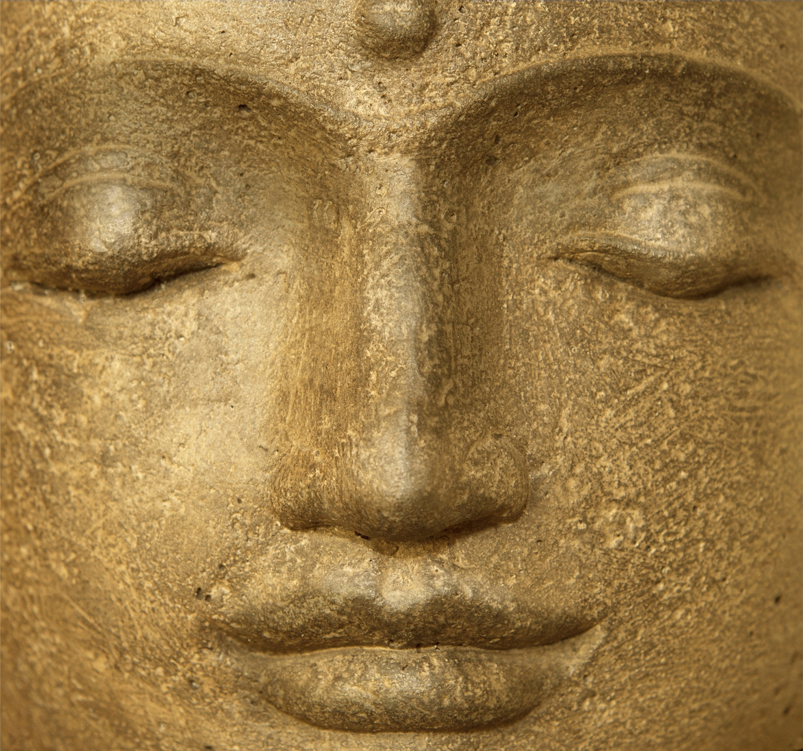 Ananda Yoga Blog - Zien of gezien worden