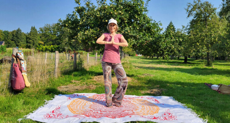 Ananda-Yoga-Blog-cirkels
