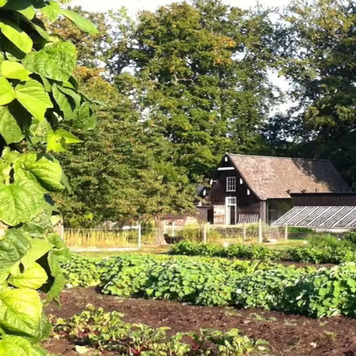 Ananda-Yoga-dru-yoga-retraite-2026