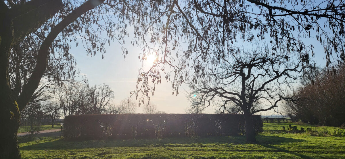 Ananda-Yoga-Blog-Kleine-Ster