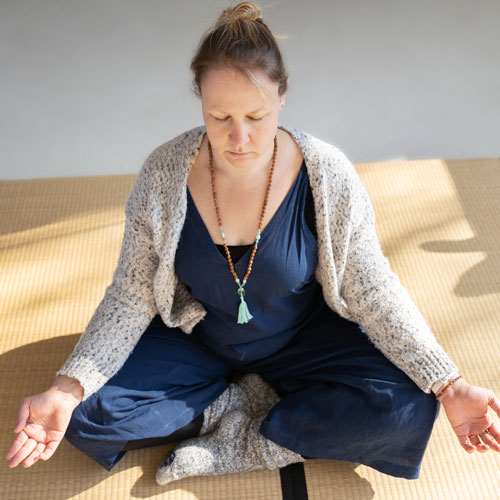 Ananda-Yoga-workshop-Movement-to-Rest